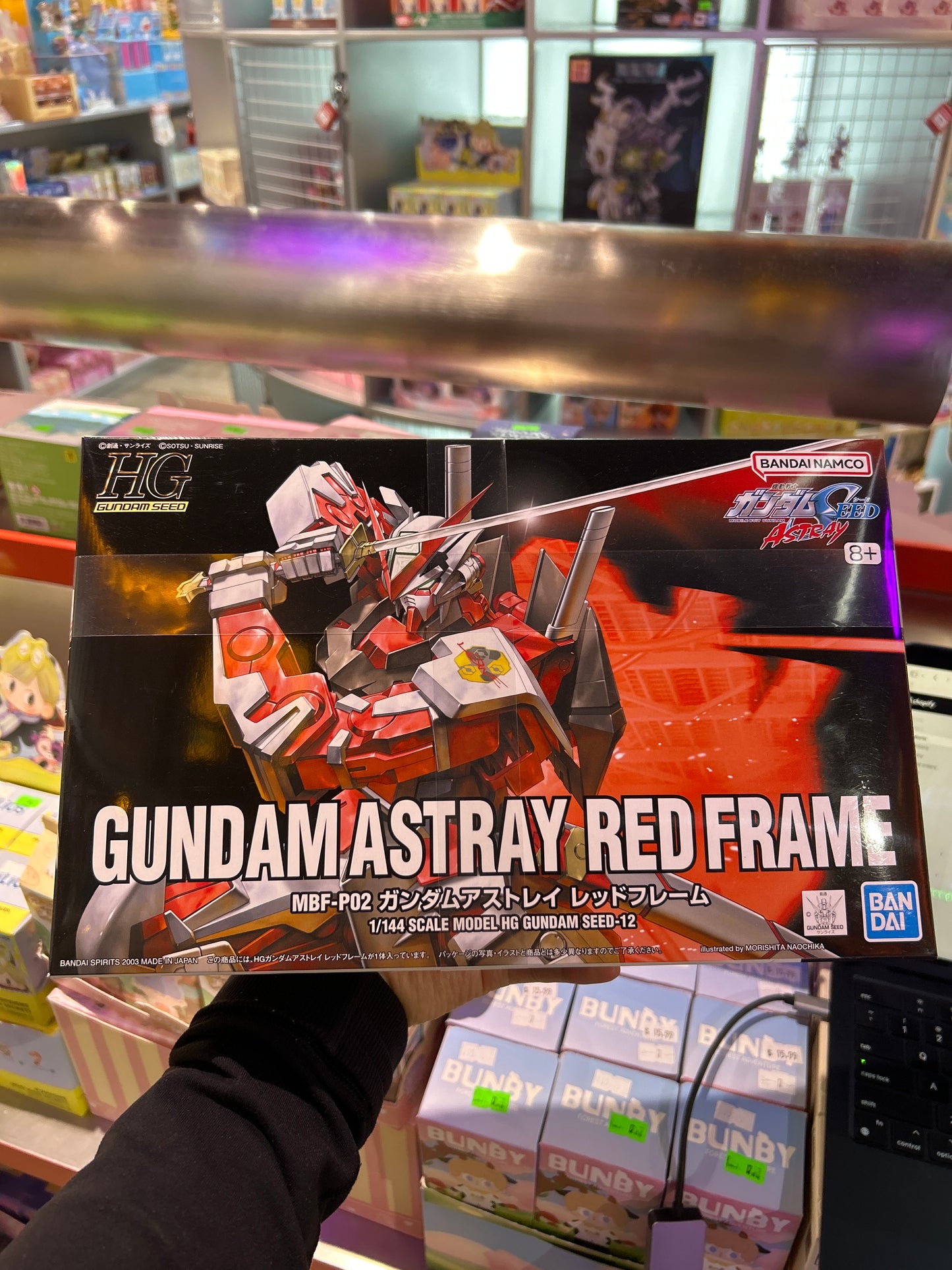 HG GUNDAM: ASTRAY RED FRAME