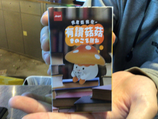 Reading Mushroom Blind Box