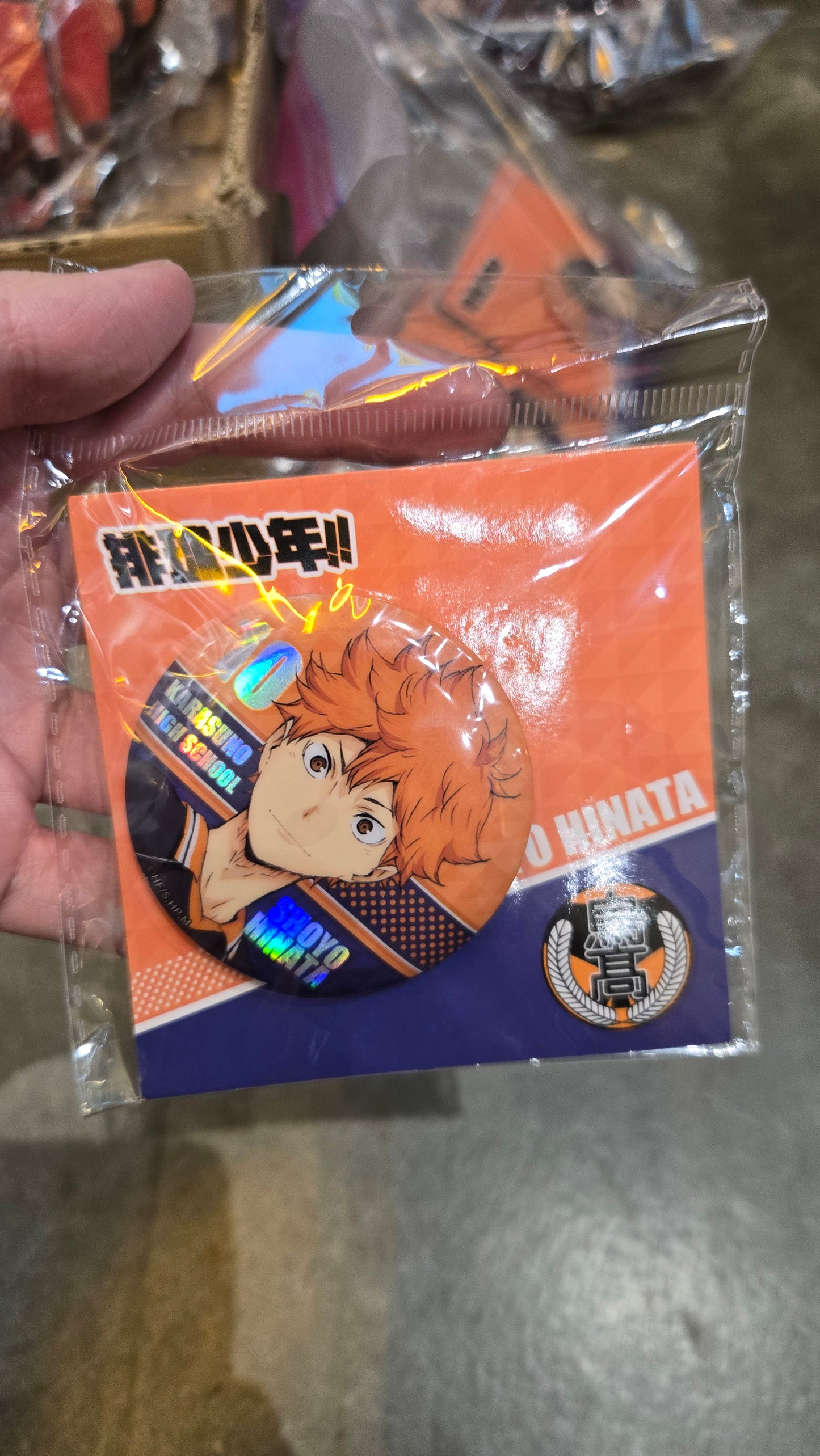 Haikyuu Pins