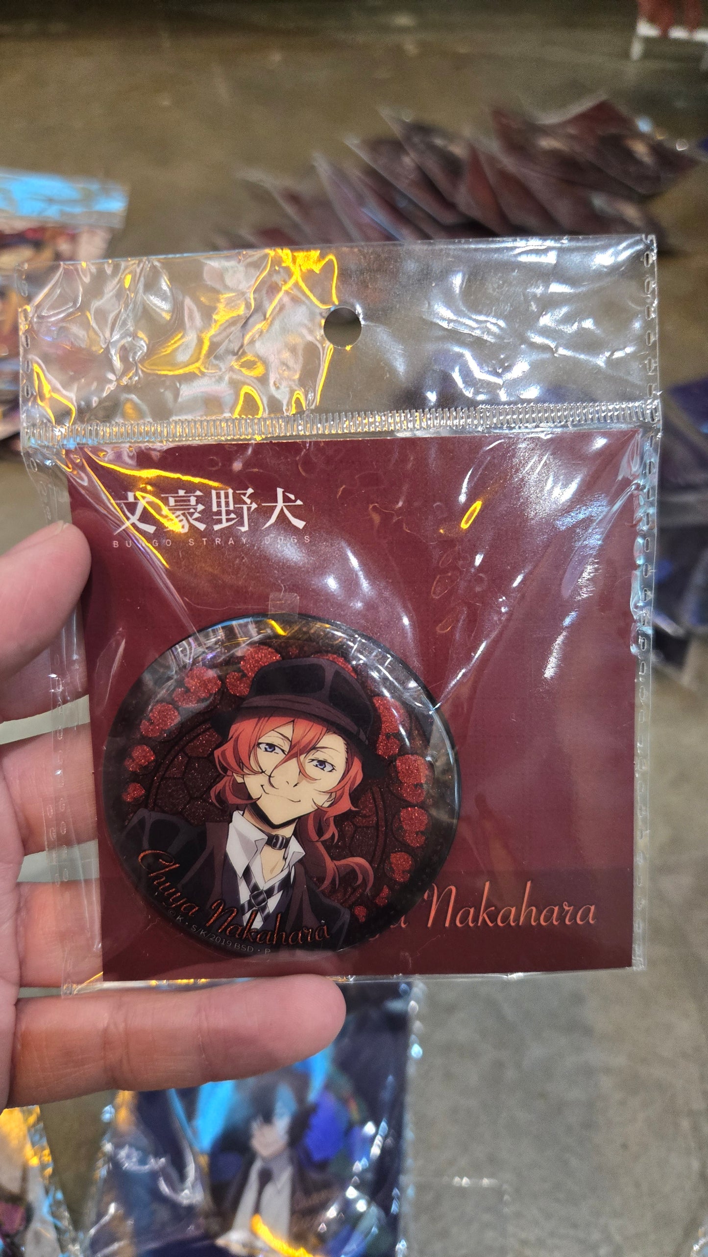 Bungo Stray Dogs Pins