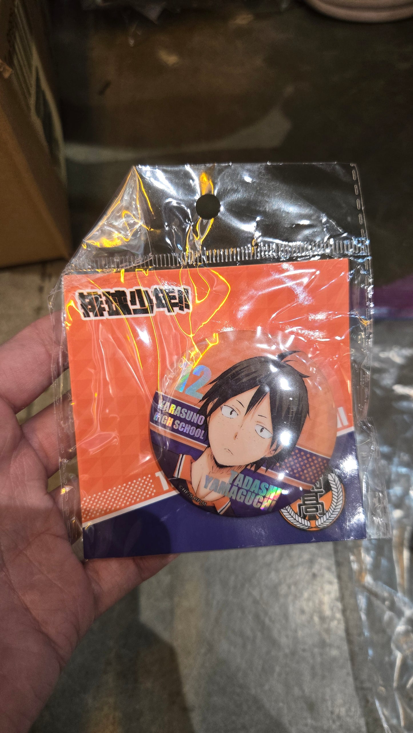 Haikyuu Pins