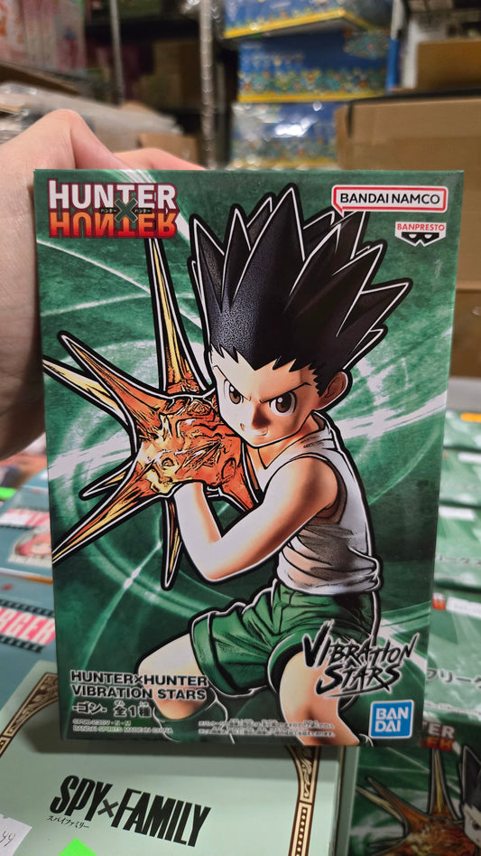 Hunter x Hunter Vibration Stars Gon