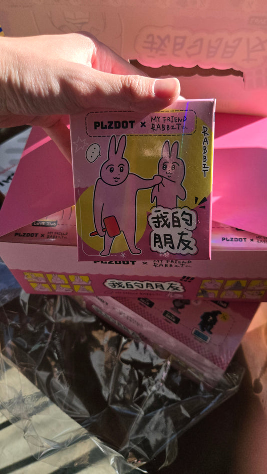 Plzdot Rabbit My Friend Blind Box